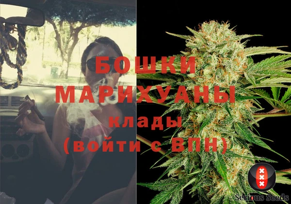 СК Арсеньев