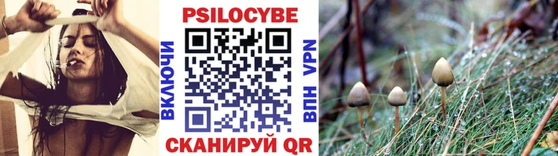 наркошоп  Багратионовск  Галлюциногенные грибы Magic Shrooms 